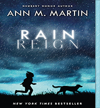 Rain Reign Teaching Guide
