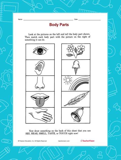 Matching Game Printable - Body Parts