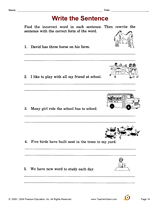 Write the Sentence
