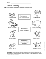 Measurement: Critical Thinking (Gr. 2)