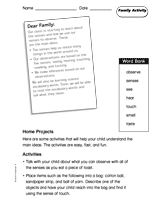 The Senses: Family Activity