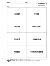 Animals: Vocabulary 1