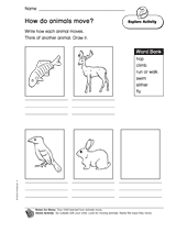 How Do Animals Move?
