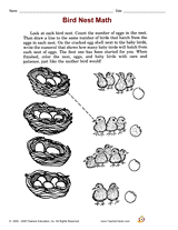 Bird Nest Math
