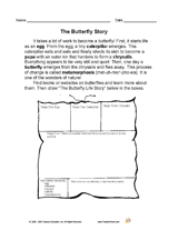 The Butterfly Story