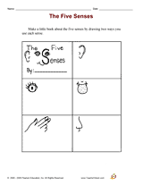 The Five Senses: Make a Book