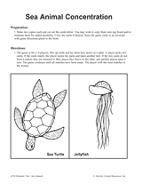 Sea Animal Concentration
