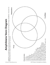 Amphibians Venn Diagram