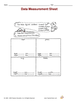 Data Measurement Sheet