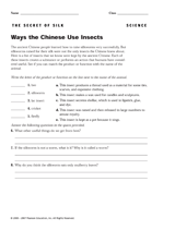 How the Chinese Use Insects