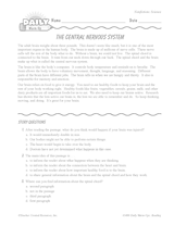Science Reading Warm-Up: The Central Nervous System