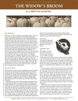 The Widow's Broom Teacher's Guide