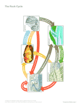 The Rock Cycle (Labeled) Printable