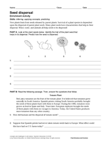 Activity: Seed Dispersal