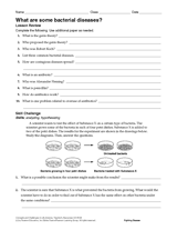 What Are Some Bacterial Diseases?