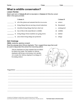 What Is Wildlife Conservation?