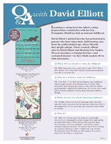 Q&A with David Elliot on Evangeline Mudd Stories