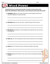 Sense Organs: Eyes and Ears Word Power