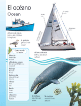 Ocean (El océano)