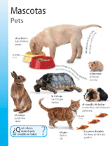 Pets (Mascotas)