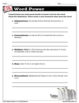 Animals of the Antarctic Word Power