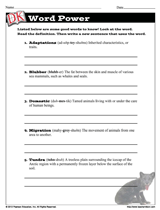 Animals of the Arctic Word Power